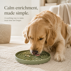 PawPerfect™ SlowPaws Puzzle Feeder